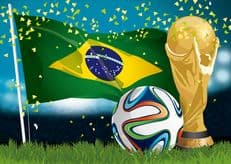 終わってしまったＷ杯に掲載されていた画像