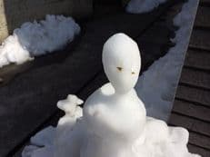 雪の気持ちに掲載されていた画像