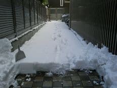 記録的大雪に掲載されていた画像