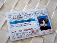 本人確認に掲載されていた画像