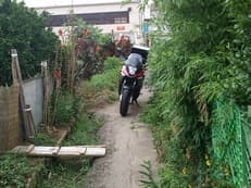 奥の細い道に掲載されていた画像