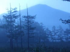 最大のチャンス到来に掲載されていた画像
