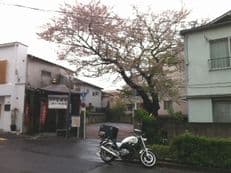 ハナと雨に掲載されていた画像