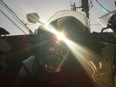 ２０１２年に掲載されていた画像