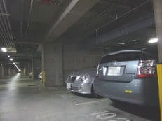 エコのシンボルに掲載されていた画像