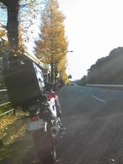 ２０１１年大晦日に掲載されていた画像