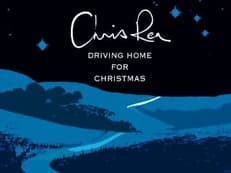 Ｄｒｉｖｉｎｇ Ｈｏｍｅ Ｆｏｒ Ｃｈｒｉｓｔｍａｓに掲載されていた画像