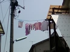 故郷に掲載されていた画像