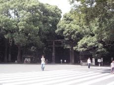 初めての明治の森に掲載されていた画像