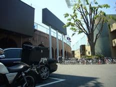 歓声に酔うに掲載されていた画像