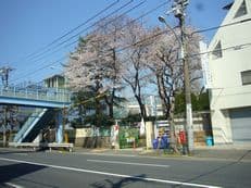 五分咲きの桜と入学式に掲載されていた画像