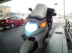 雪の東京に掲載されていた画像