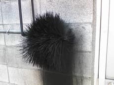 懐かしの真っ黒くろすけに掲載されていた画像
