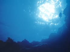 虚構の水中に掲載されていた画像