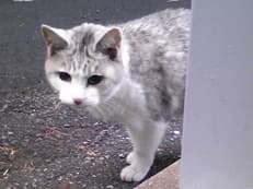 瞳を閉じてに掲載されていた画像