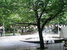 負い目の大きさに掲載されていた画像