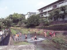 夏の隠れ人気スポットに掲載されていた画像