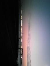 城南島海浜公園に掲載されていた画像