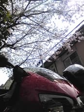 怒りのお婆ちゃんに掲載されていた画像