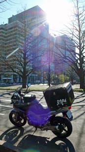 答えより 「問い」に掲載されていた画像