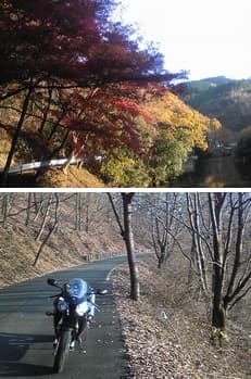 ヴェイパーロックに掲載されていた画像