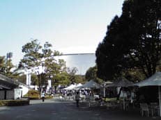 熱のこもった渋滞に掲載されていた画像