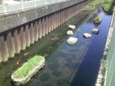 梅雨明け宣言に掲載されていた画像