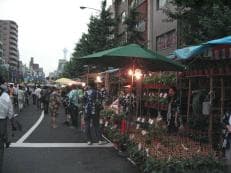 入谷の朝顔市に掲載されていた画像
