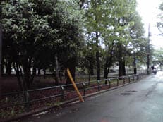 休日故に、でも休日で良かったに掲載されていた画像