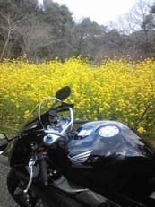 答えに掲載されていた画像
