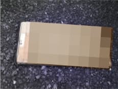 紙に掲載されていた画像