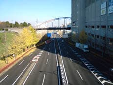 陽だまりの幸福に掲載されていた画像