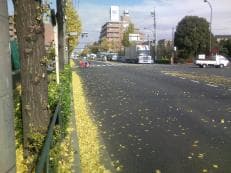 黄色いトラウマに掲載されていた画像