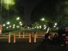 実はいるのでしょうか？に掲載されていた画像