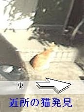 ストリートビューに掲載されていた画像