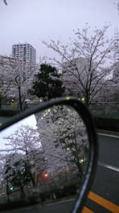 かさなる春の情景に掲載されていた画像