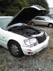 Ｍｅｒｃｅｄｅｓ Ａ１６０＋Ｓ５００に掲載されていた画像 2/2