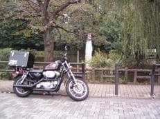 おじいちゃんのＢＭＷに掲載されていた画像