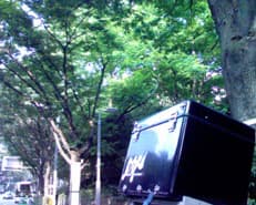 干物日和に掲載されていた画像