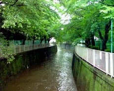 梅雨の終わりに掲載されていた画像