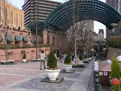 彼岸からの言葉に掲載されていた画像