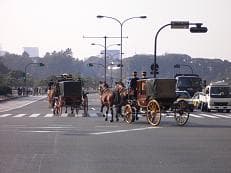 渋滞の先は別世界に掲載されていた画像