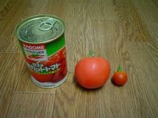ミニトマト？に掲載されていた画像 2/2