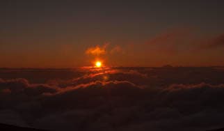 2021年、ありがとうございましたに掲載されていた画像