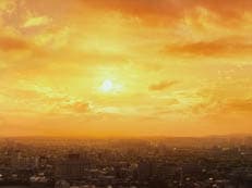 2014年大晦日に掲載されていた画像
