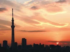 大晦日に掲載されていた画像