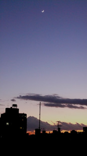 picture